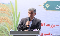 ضرورت توسعه مکانیزاسیون در شالیزارهای گیلان 